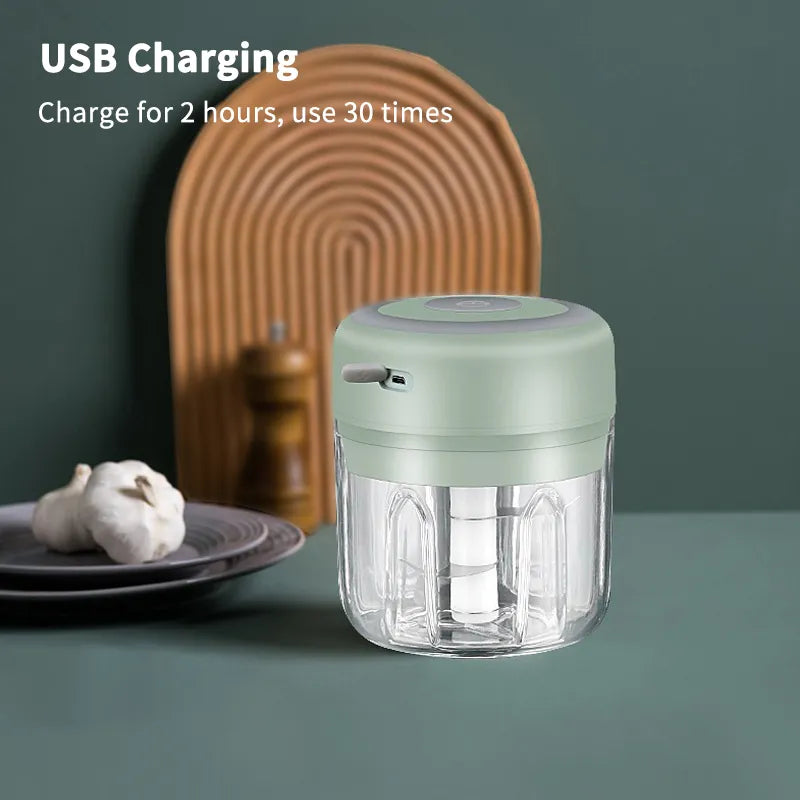 Electric Mini Food Chopper