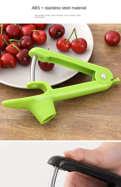 Fruit  Seed Remover