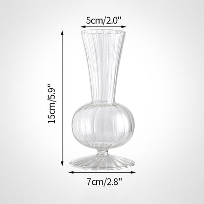 Hydroponic Elegance Vase