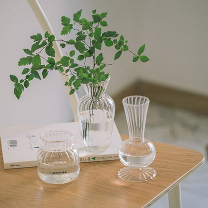 Hydroponic Elegance Vase