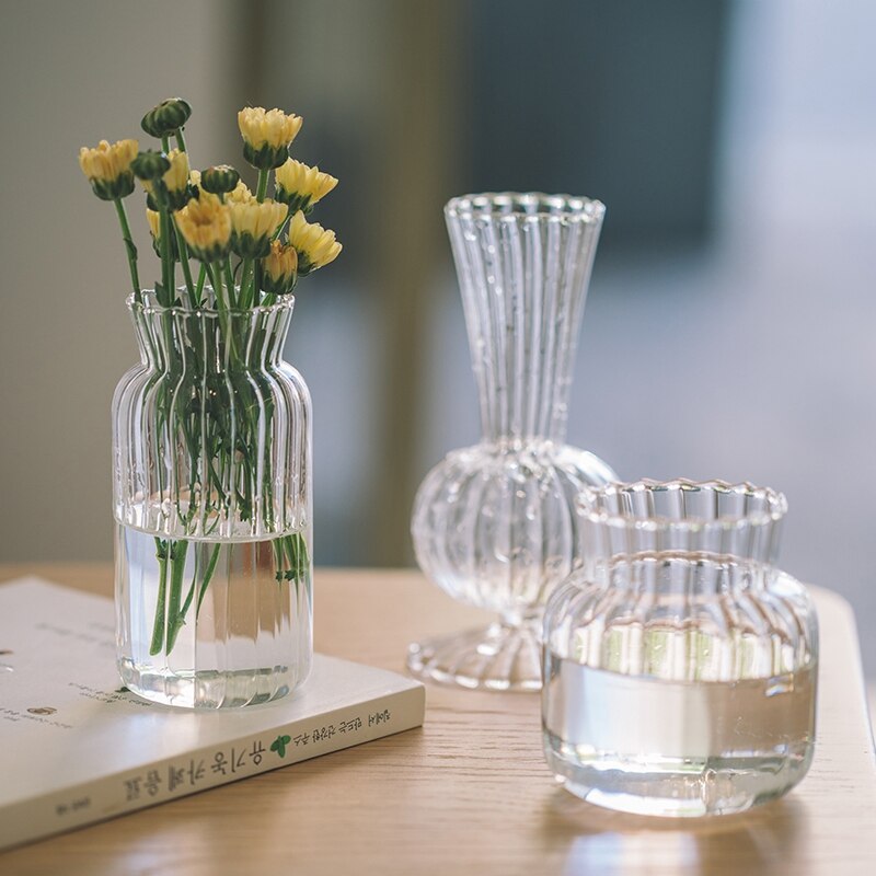 Hydroponic Elegance Vase