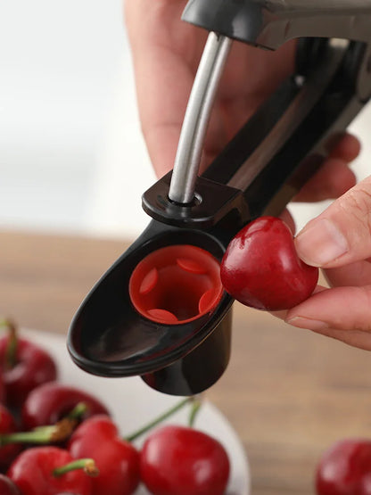 Fruit  Seed Remover