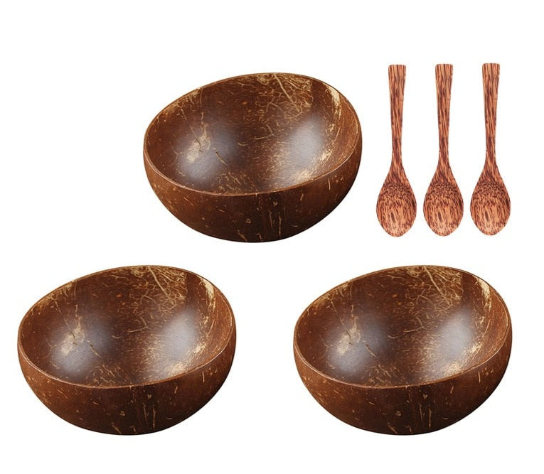 Coconut Shell Bowl